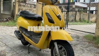 Atila elizabeth biển 43