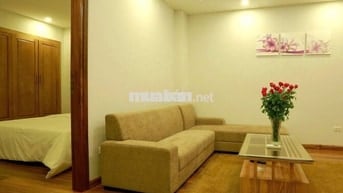 Chính chủ cần cho thuê gấp căn hộ đủ đồ 1K1N, 40m2, KV Trần Duy Hưng