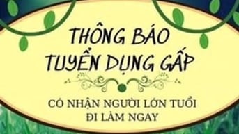 ✅Cần Ngay 05 Công Nhân Làm Việc Đóng Gói Hàng Trà , Cà Phê Hộp Công Ty
