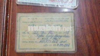 Cần bán một cặp Cub giấy tờ đầy đủ