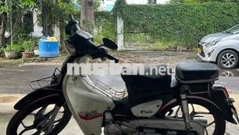 sumotor cub 50cc 2022