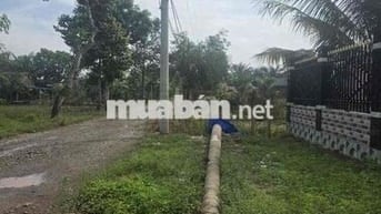 Chủ cần tiền nên cần ra lô đất An Tây, Bến Cát, BD