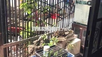 CHO THUÊ NHÀ NGUYÊN CĂN 75m2 CÓ: 2PN GẦN LÀNG ĐẠI HỌC - ĐÔNG HOÀ