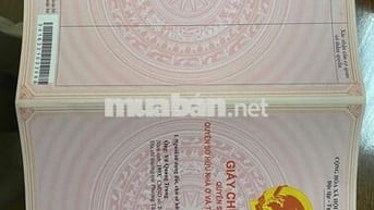 Đất thổ cư 2mt+ Diện tích 680m2/ Hẻm 242 Dã Tượng ( Liên Doanh 1 cũ)