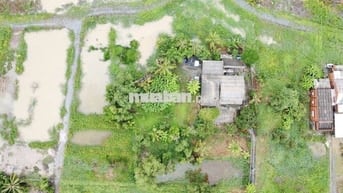 Chính chủ cần bán đất Long An - Tây Ninh