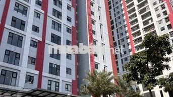 BÁN CĂN HỘ 3 PHÒNG NGỦ TẠI HÀ NỘI PARAGON CẦU GIẤY