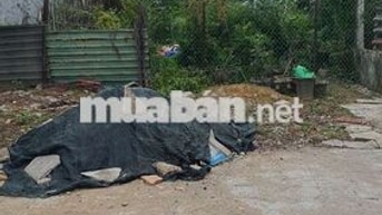 Anh Ruột Nhờ Đăng Giúp , Giá Trên còn thương lượng