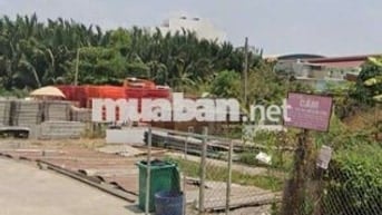 Cho thuê đất trống sang lấp sẵn bao gpxd tiền chế. 60k/m2