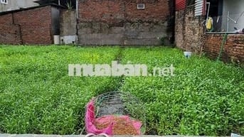 BÁN ĐẤT THỔ CƯ 79M TẠI YÊN PHÚ _YÊN MỸ_HƯNG YÊN_NỞ HẬU