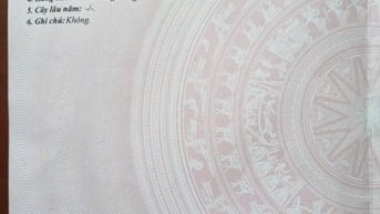 Bán nhà Đường 835B, khu dân cư phát Hải, Xã Phước Lý, Cần Giuộc