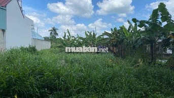ĐẤT NGỘP LƯU BÌNH HƯƠNG 270m2 - GIÁ 650tr CÒN THƯƠNG LƯỢNG, SHR,
