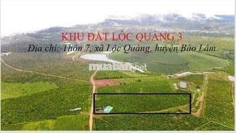 🌿 CHÍNH CHỦ BÁN 33 LÔ ĐẤT TẠI LỘC QUẢNG – BẢO LỘC, LÂM ĐỒNG 🌿
