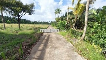 🌳Bán đất vườn16.000m² nhà 3PN–sát cầu Rạch Miễu 2 (800m) mới thông xe