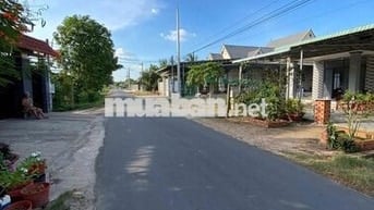 CẦN BÁN GẤP DÃY TRỌ 10 Phòng mặt tiền nhựa Gia LộcTrảng Bàng giá 680TR