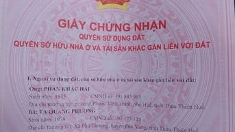 Công ty đấu giá hợp danh Sao Việt – đang đấu giá tài sản