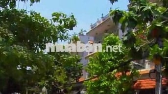 Nhà Quận 8 đường nội bộ Phường 5. Bán
