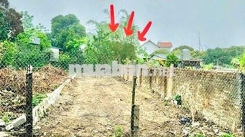 1 LÔ *** NGUYỄN THỊ LẮNG GIÁ NGỘP 460 TRIỆU,5M X 26M, FULL THỔ CƯ