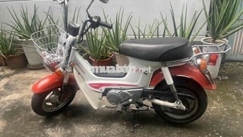 xe chaly 79 nguyên bản