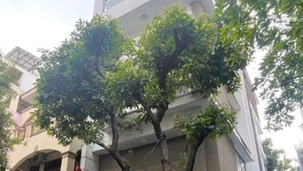 Bán nhà mặt tiền Hoa Cau, Phú Nhuận, DT 105m², hầm, trệt, 3 lầu