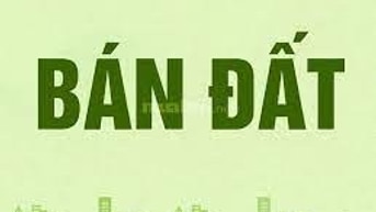 Bán đất đấu giá khu Trường Danh, thôn Tràng Cát, X.Kim An, H.Thanh Oai