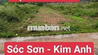1, 1x tỷ - 113m Đất Sóc Sơn Kim Anh đã có sổ, cách TT xã 1.5km
