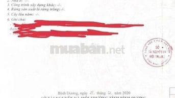 Cần Tiền Nên Bán Nhanh Lô Đất Siêu Đẹp MT Đường Lê Văn Tiên, Dĩ An,SHR