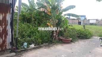 Bán đất LM - HXH (8m x 15m = 121 m2) xã Đông Thạnh Hóc môn cũ