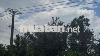 Cần bát lô đất mặt tiền Mỹ Phước, Tân Phước, Tiền Giang