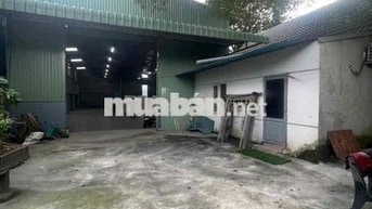 Cho thuê xưởng đẹp có sẵn 3F,văn phòng,đường xe cont,Thiện Tân