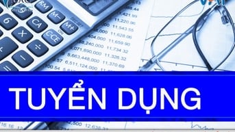 Công ty sản xuất gỗ cần tuyển kế toán nội bộ