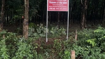 Công ty Đấu giá hợp danh Lam Sơn Sài Gòn THÔNG BÁO ĐẤU GIÁ TÀI SẢN