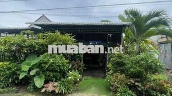 Bán nhà Rẻ, Đẹp, Lộ Ô Tô Kdc Tân Bình - Tân Quới - Vĩnh Long