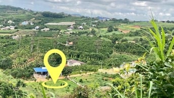 Đất nghỉ dưỡng xã Nam Ban cách Đà Lạt 20km