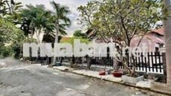 BIỆT THỰ NHƯ MỚI VÀO XEM ƯNG NGAY,DT30*60M,2PN,SÂN BÓNG, ĐẤT TRỒNG CÂY