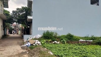 Cần bán 43m2 đường trục chính Phụng Châu. Giá 2.96 tỷ