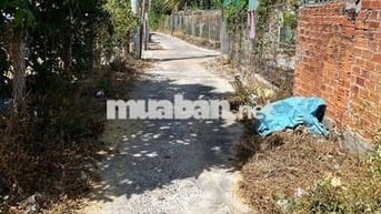 đất phong phú nền đẹp tiện đầu tư xây nhà