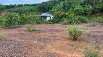🌺 CHỈ 4xx TR*IỆU 🌺 ⭐️ Sở hữu ngay lô đất gần 250m2 có 70m2 thổ cư