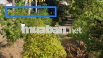 ĐẤT NỀN CHỢ VŨNG LIÊM VĨNH LONG