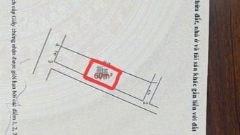 Bán đất thổ cư chính chủ rộng 60m²