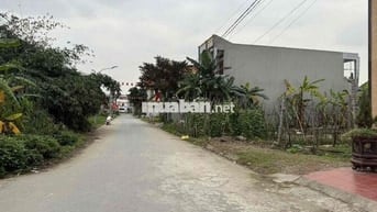 🌟 BÁN ĐẤT TRỐNG 294M² – KHU PHÂN LÔ LƯƠNG QUÁN, NAM SƠN, AN DƯƠNG 🌟