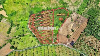 Làng Bình Yên Seperok tại Hoà Phú- To Buôn Mê