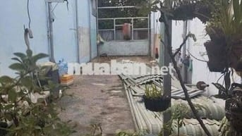 Bán Đất mặt tiền đường nhựa tân xuân 7, Tân Xuân hóc môn