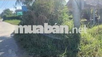 bán đất vườn gò công đông tiền giang diên tich 1000m