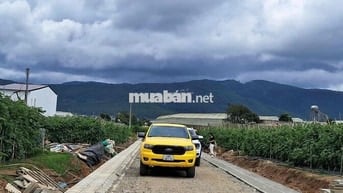 🏡 Bán lô đất đẹp 447m² (137m² thổ cư) tại Đơn Dương – Giá chỉ 1,3 tỷ,