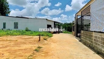 Chủ ra bán lô đất 1300m2 giá ngộp 590tr