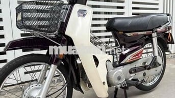 Dream Tem Lửa khá Cọp.