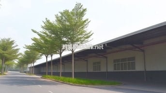 🏭 BÁN 5000m² XƯỞNG TẠI QUẤT ĐỘNG – THƯỜNG TÍN 🏭