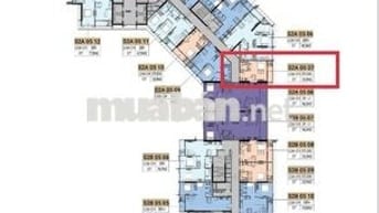 Cần sang nhượng 2 căn loại 1pn và Studio view sông Hàn giá 3ty5