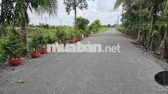 Bán đất 35x158M đường kênh 8, Bình Chánh, TPHCM