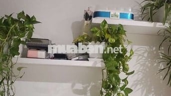 Chính chủ cho thuê nhà riêng 3 tầng nguyên căn , ngõ rộng, nông có sân